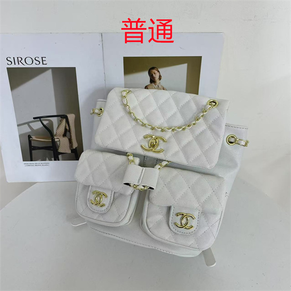 Chanel small bag-0473