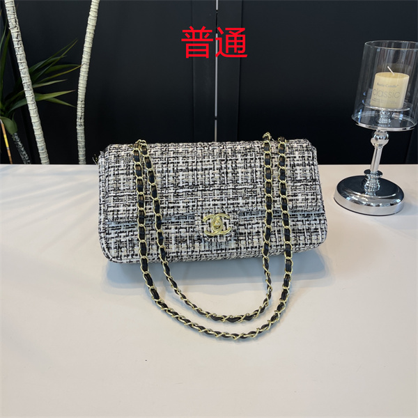 Chanel small bag-0479