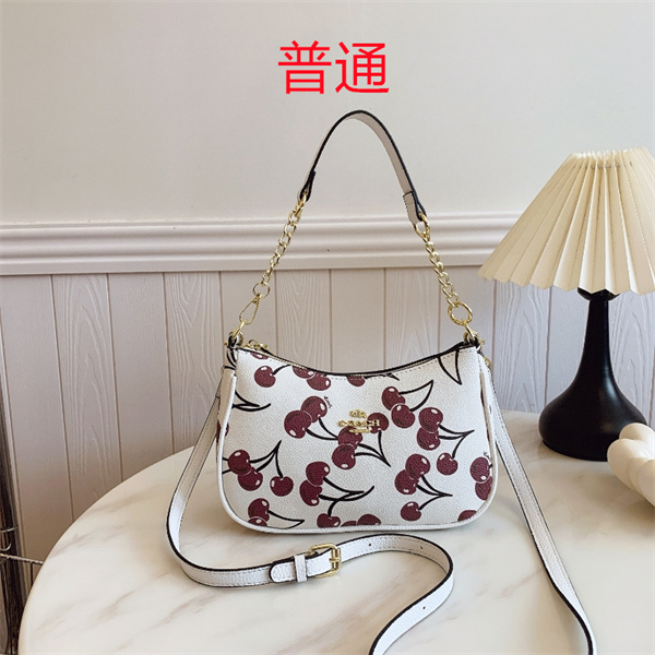 Coach small bag-0867