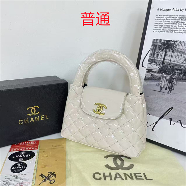 Chanel small bag-0498