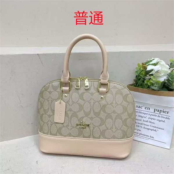 Coach small bag-0869