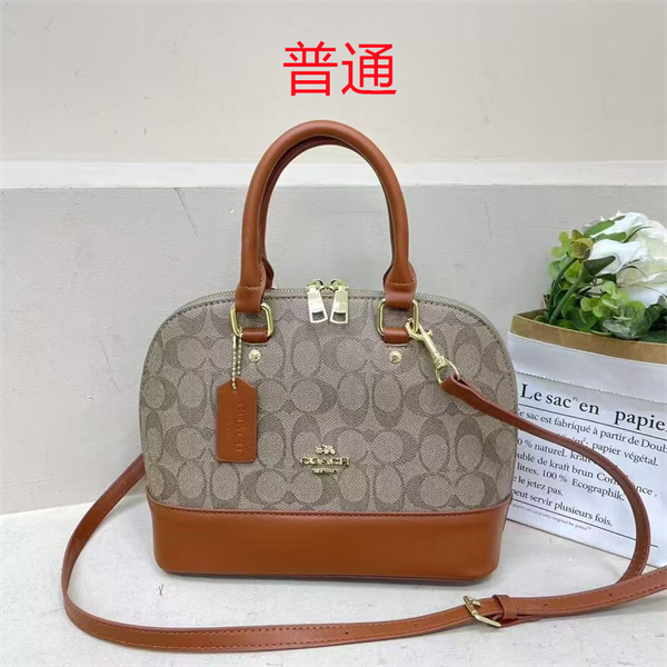 Coach small bag-0871