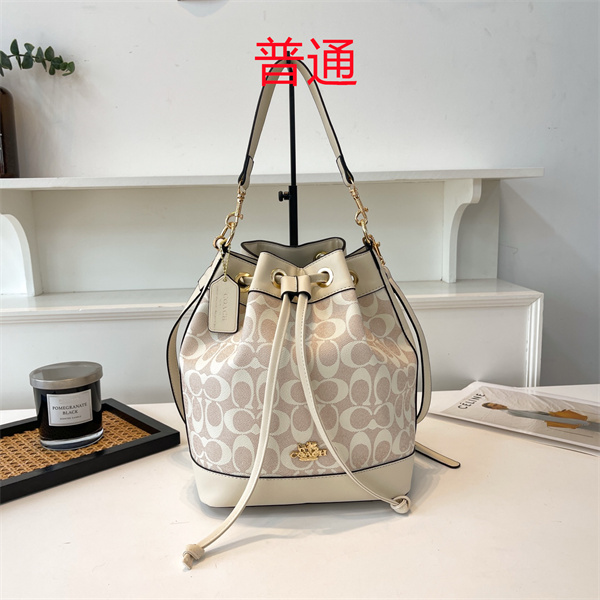 Coach small bag-0876