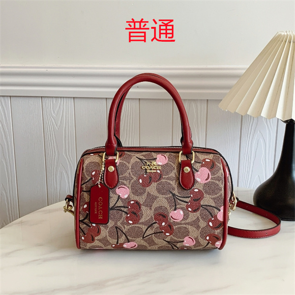 Coach small bag-0895