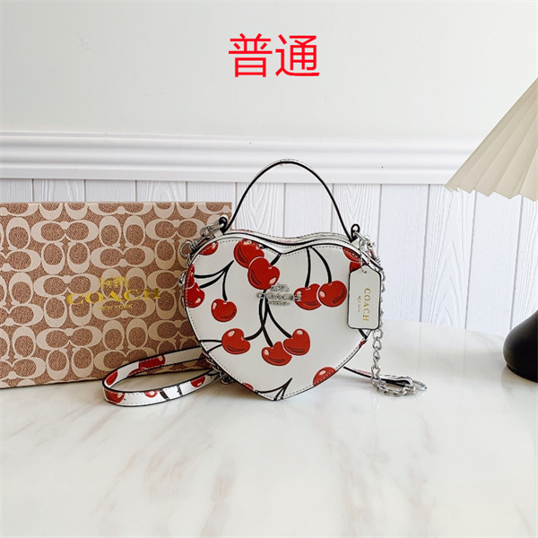 Coach small bag-0898