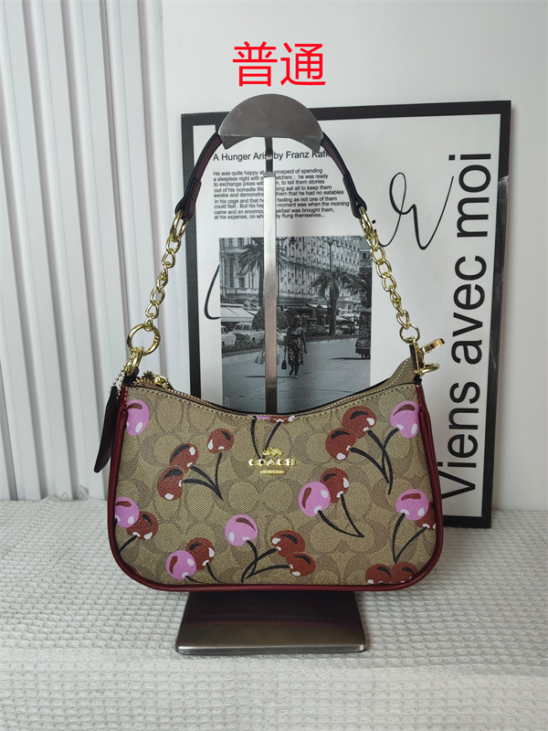 Coach small bag-0920