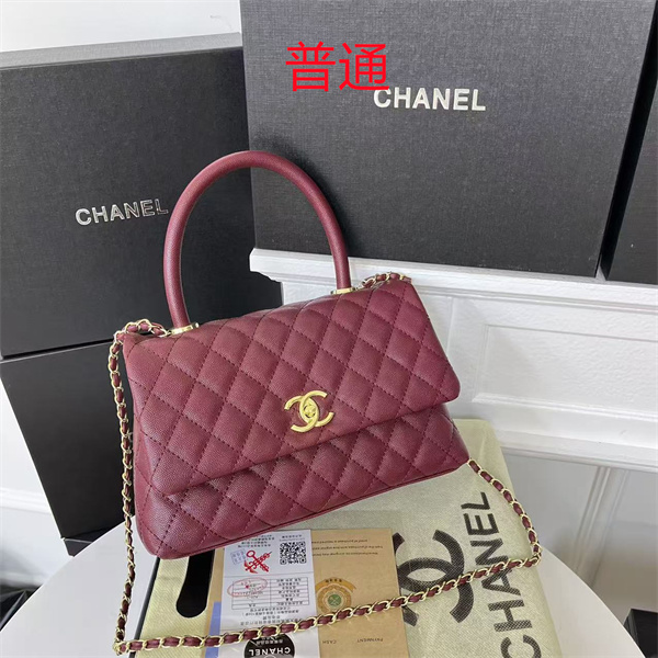 Chanel small bag-0553