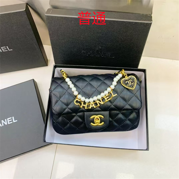 Chanel small bag-0557