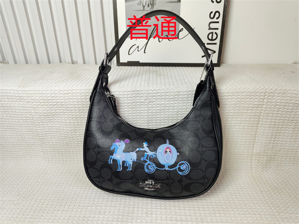 Coach small bag-0935