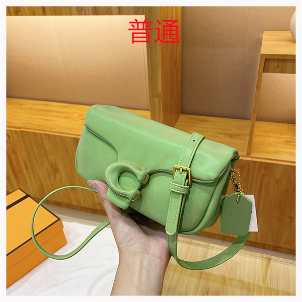 Coach small bag-0952