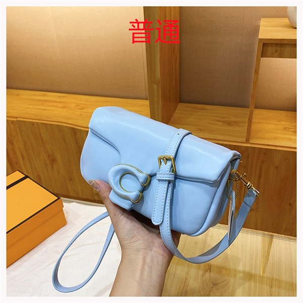 Coach small bag-0953