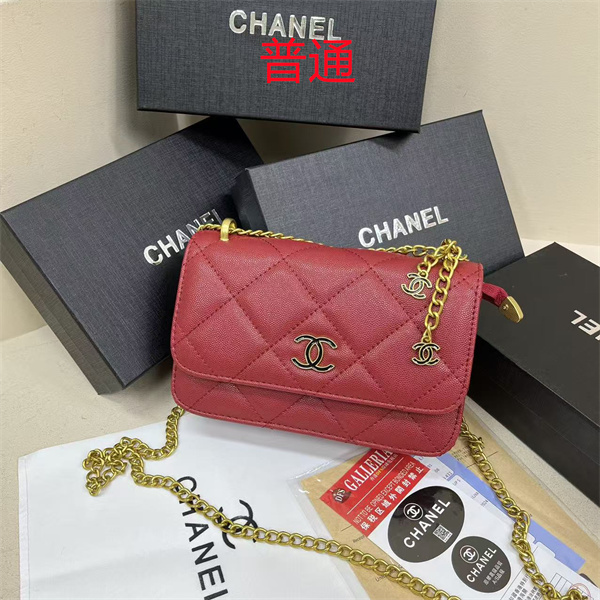 Chanel small bag-0585