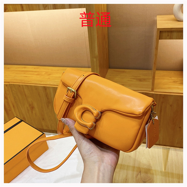 Coach small bag-0957