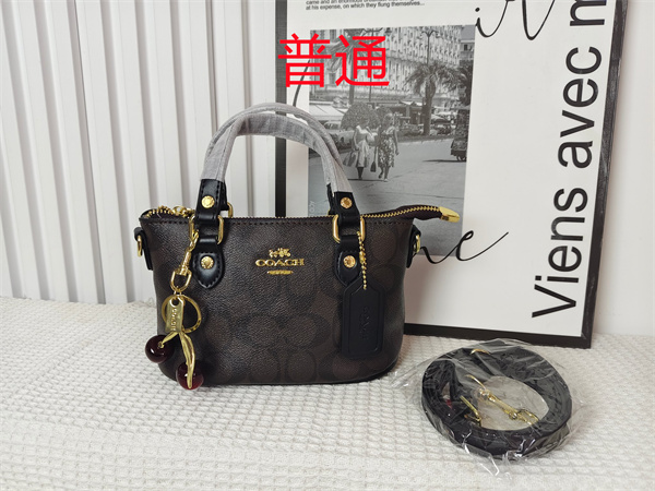 Coach small bag-0958