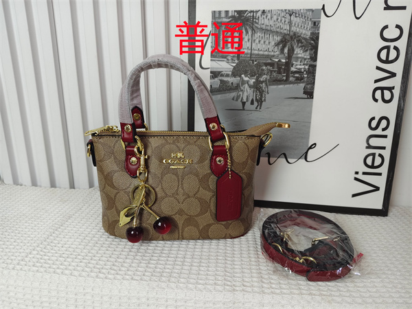 Coach small bag-0960