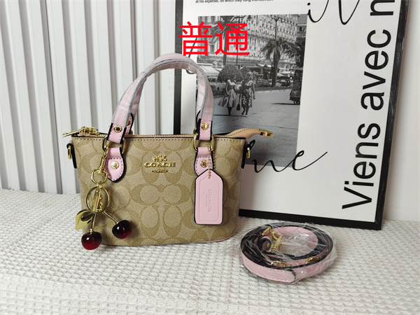 Coach small bag-0963