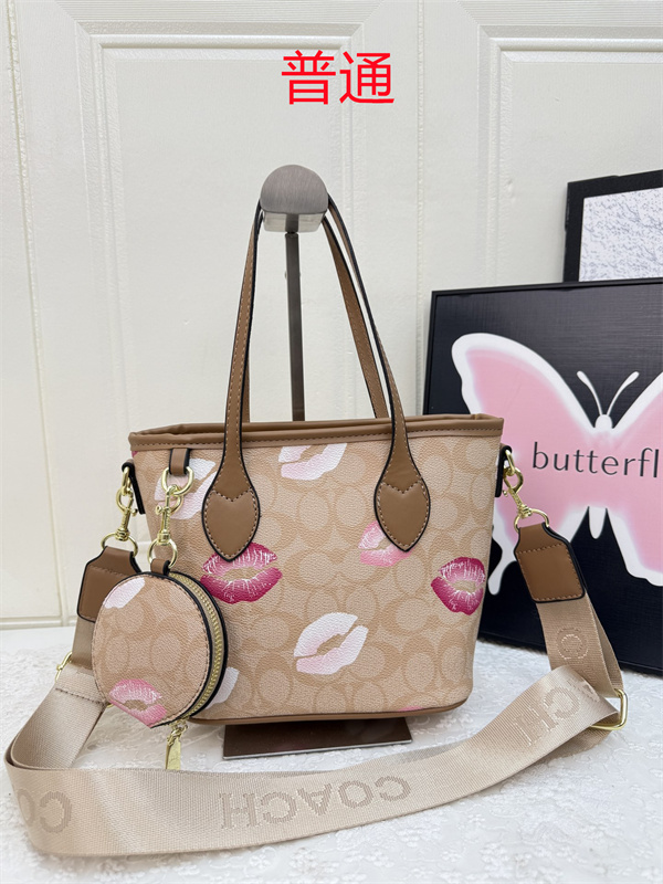 Coach small bag-0976