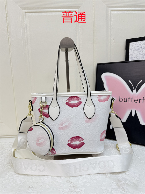 Coach small bag-0977