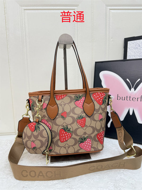 Coach small bag-0979