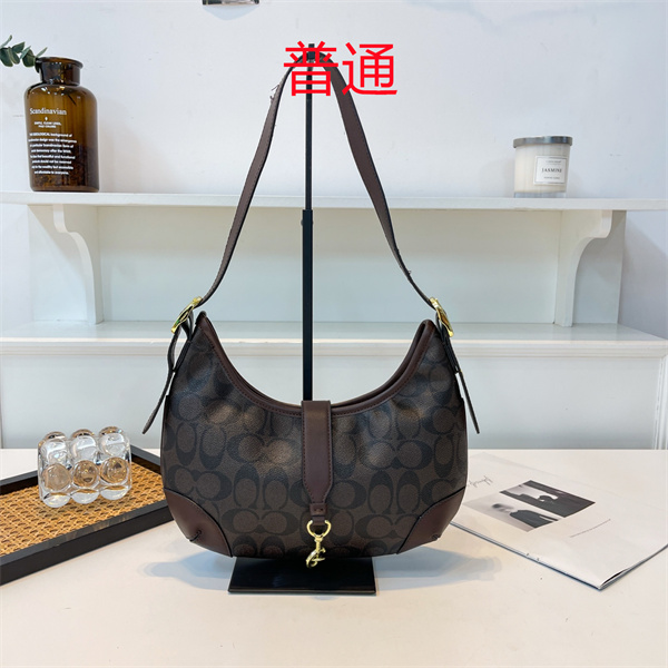 Coach small bag-1012