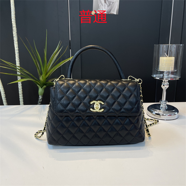Chanel small bag-0649