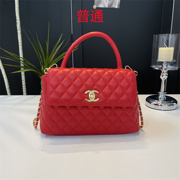 Chanel small bag-0655