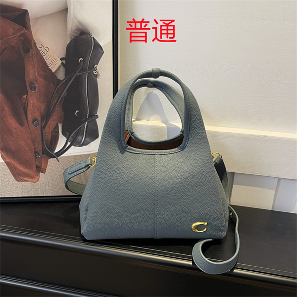 Coach small bag-1084