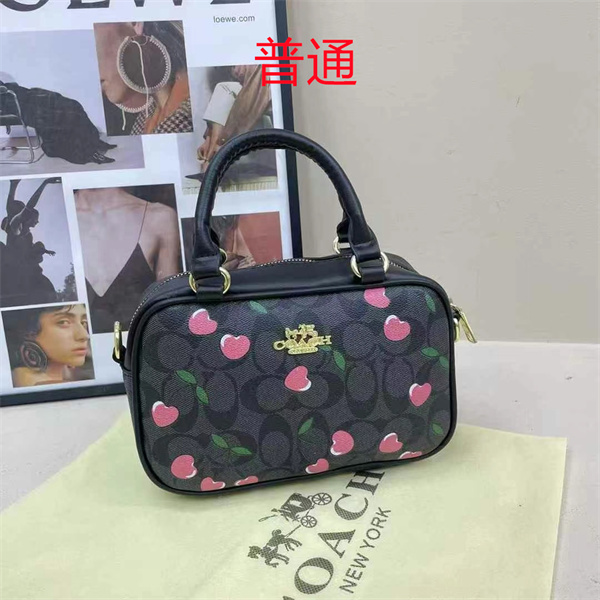 Coach small bag-1087