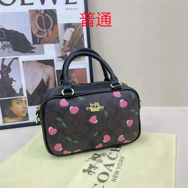 Coach small bag-1088