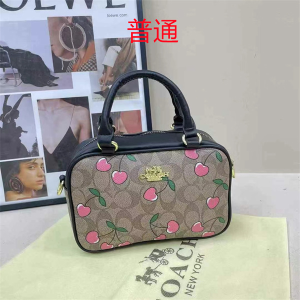 Coach small bag-1089