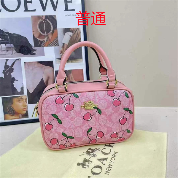 Coach small bag-1091