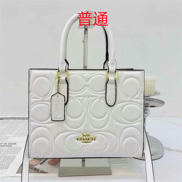 Coach small bag-1101