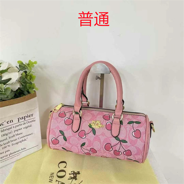 Coach small bag-1120