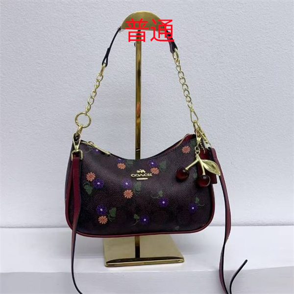 Coach small bag-1133