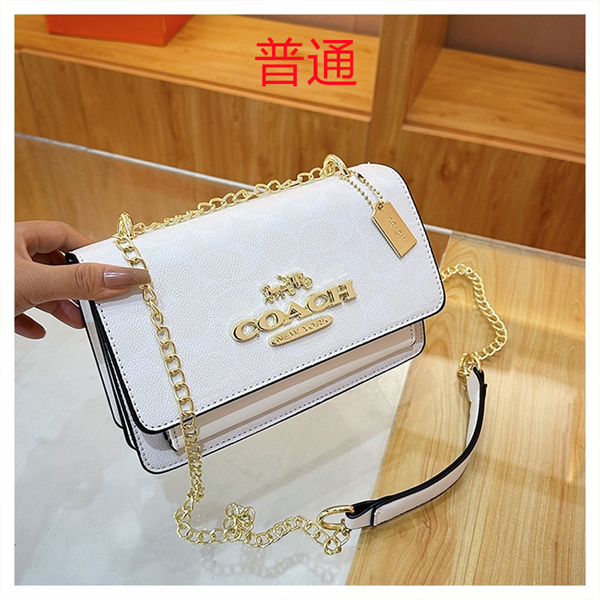 Coach small bag-1173