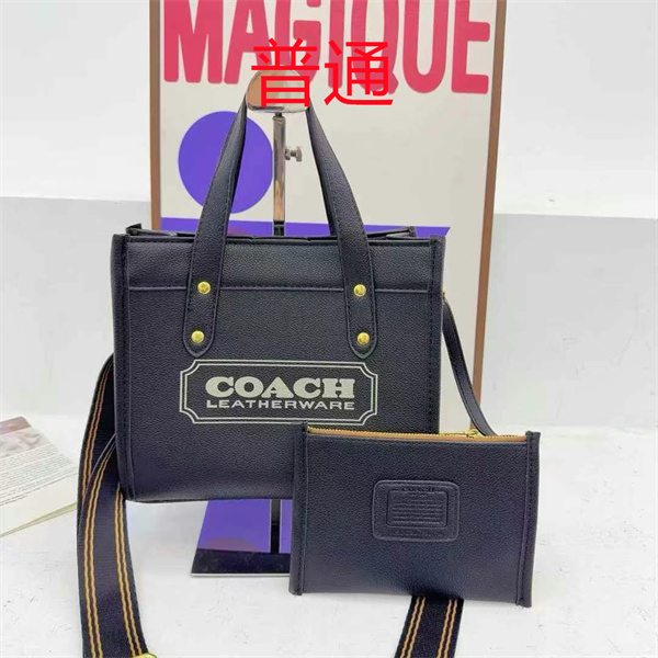 Coach small bag-1252