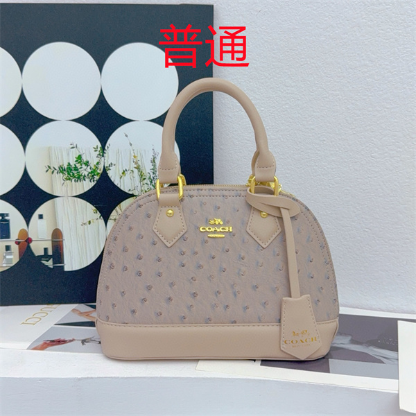 Coach small bag-1193