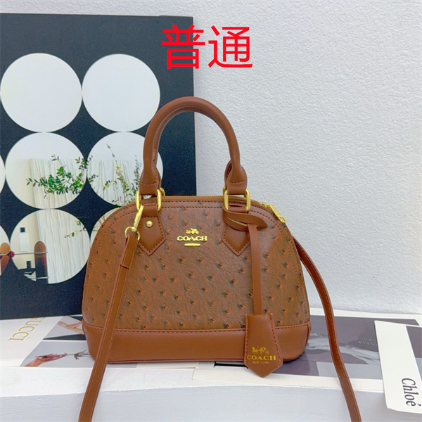 Coach small bag-1513