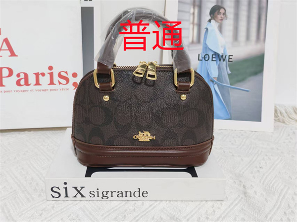 Coach small bag-1621