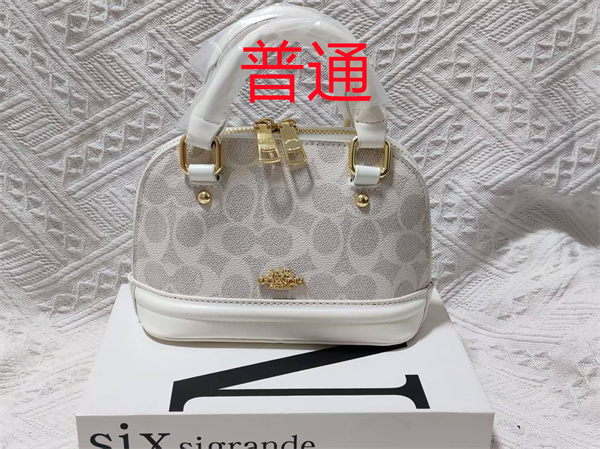 Coach small bag-1624