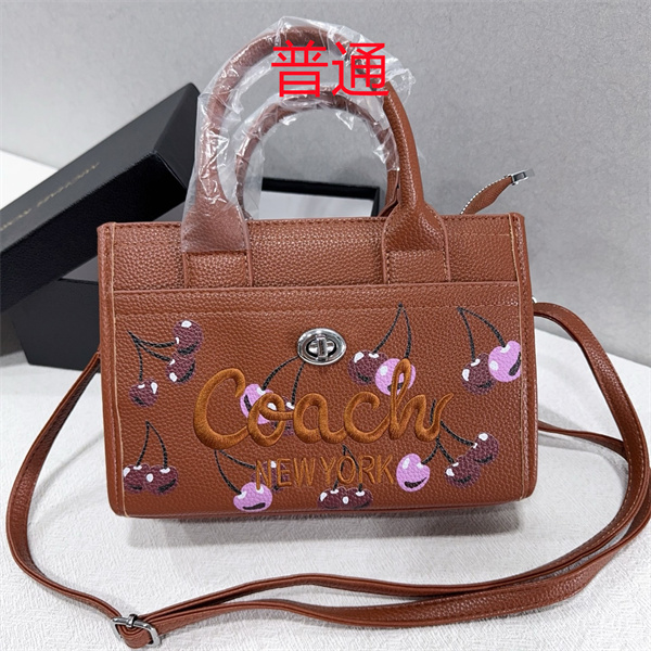 Coach small bag-1667