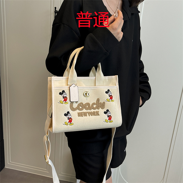 Coach small bag-1681