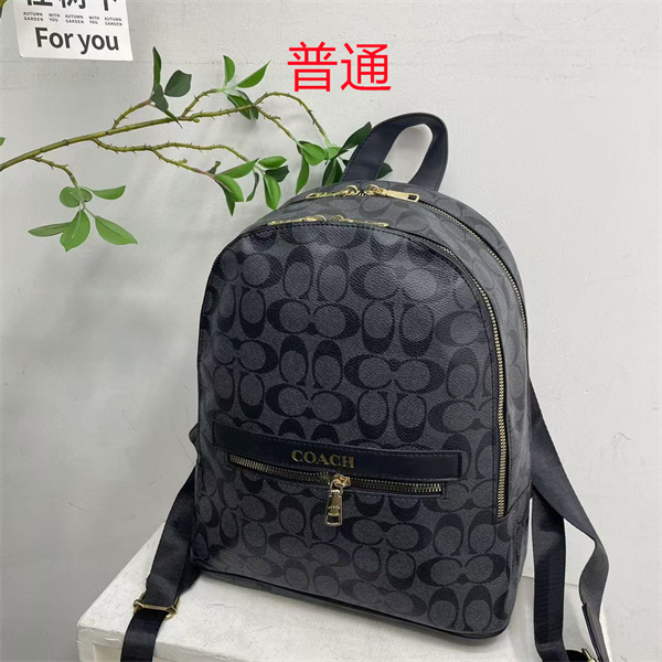 Coach small bag-1726