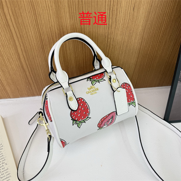 Coach small bag-1729