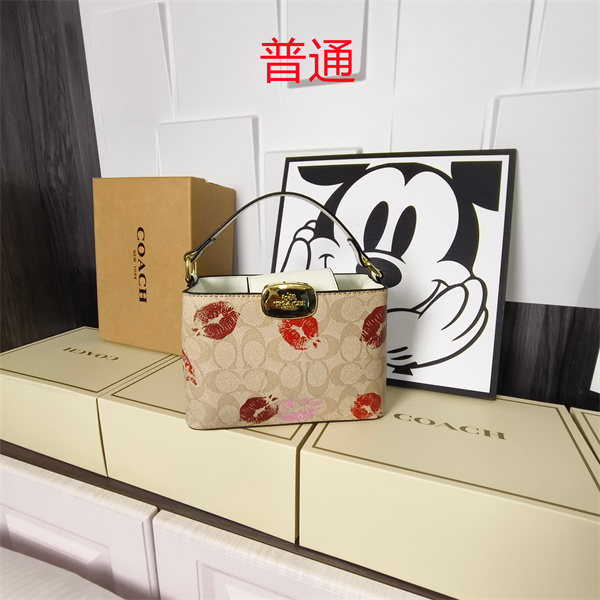 Coach small bag-1756