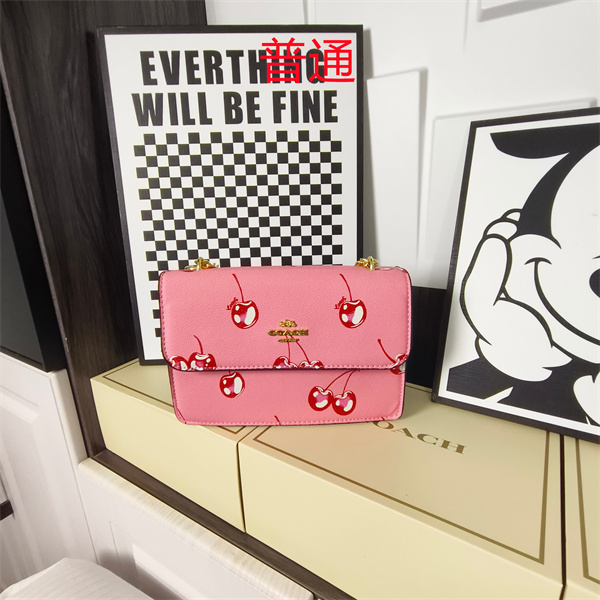 Coach small bag-1764