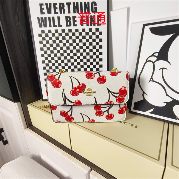 Coach small bag-1766