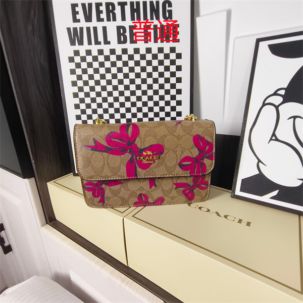 Coach small bag-1767