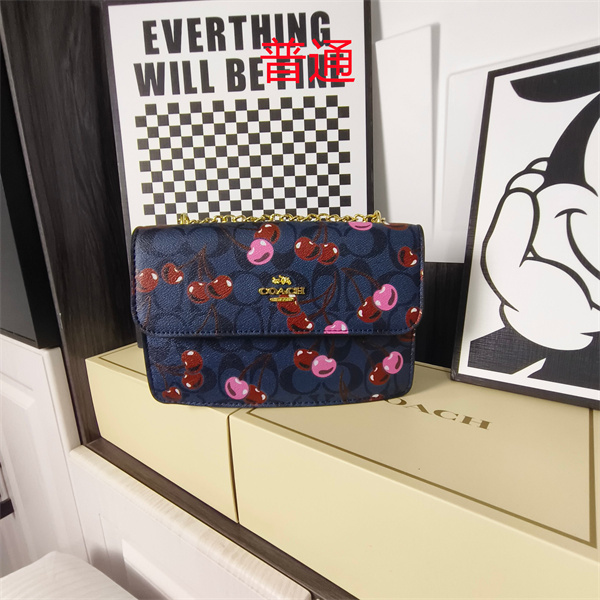 Coach small bag-1768