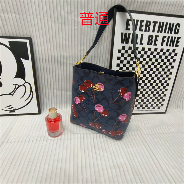 Coach small bag-1771